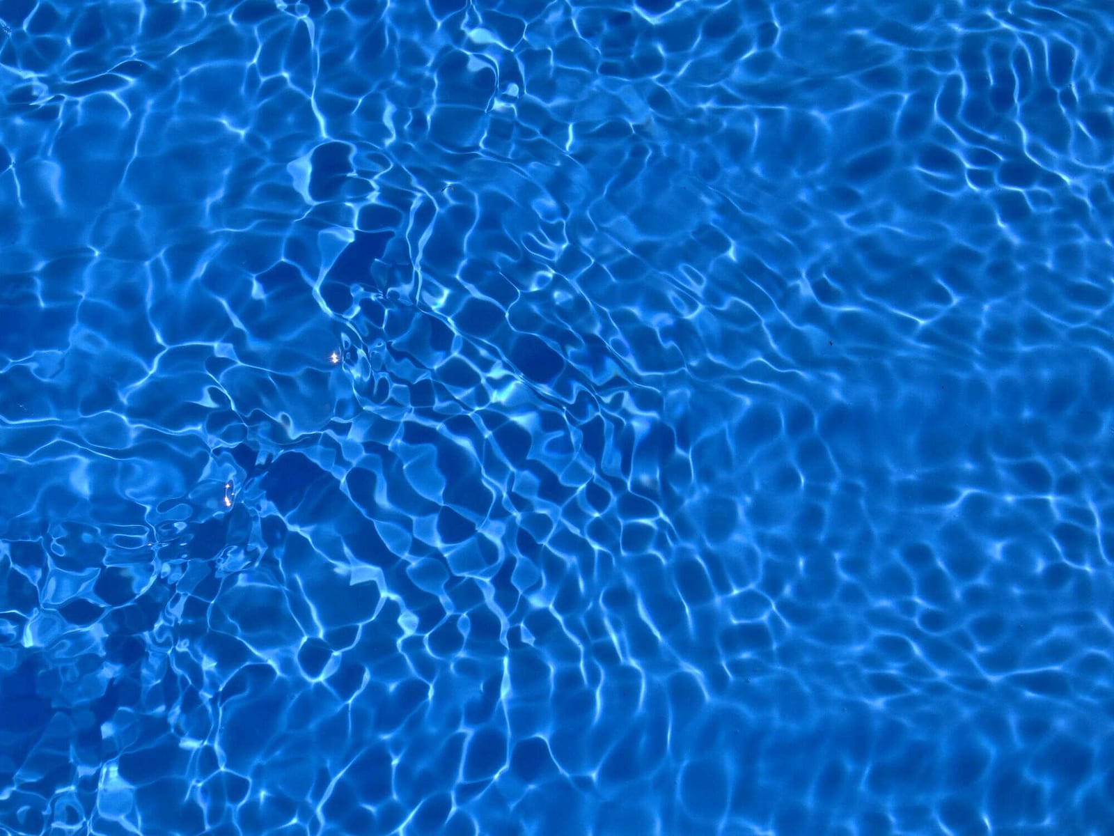 Dealing with Metal Stains: Iron, Copper, and More — pool service business insights
