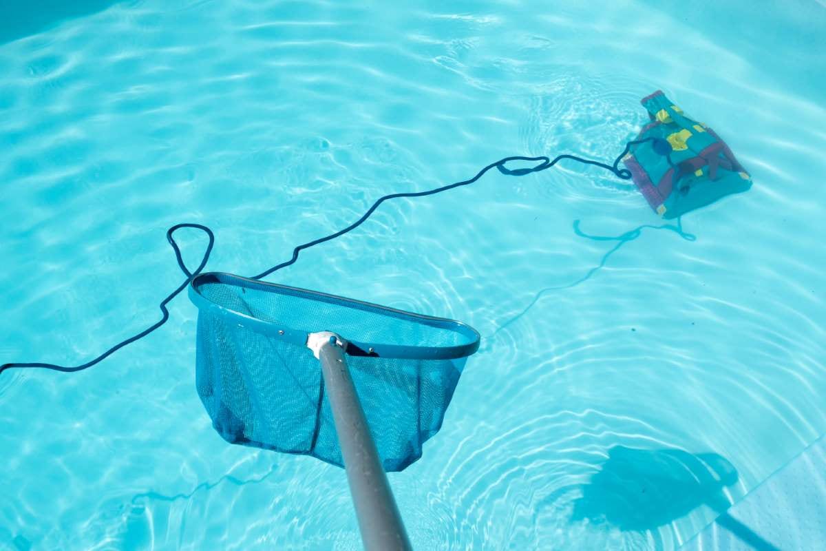 Drought-Resistant Landscaping Around Pools for Water Conservation — pool service business insights