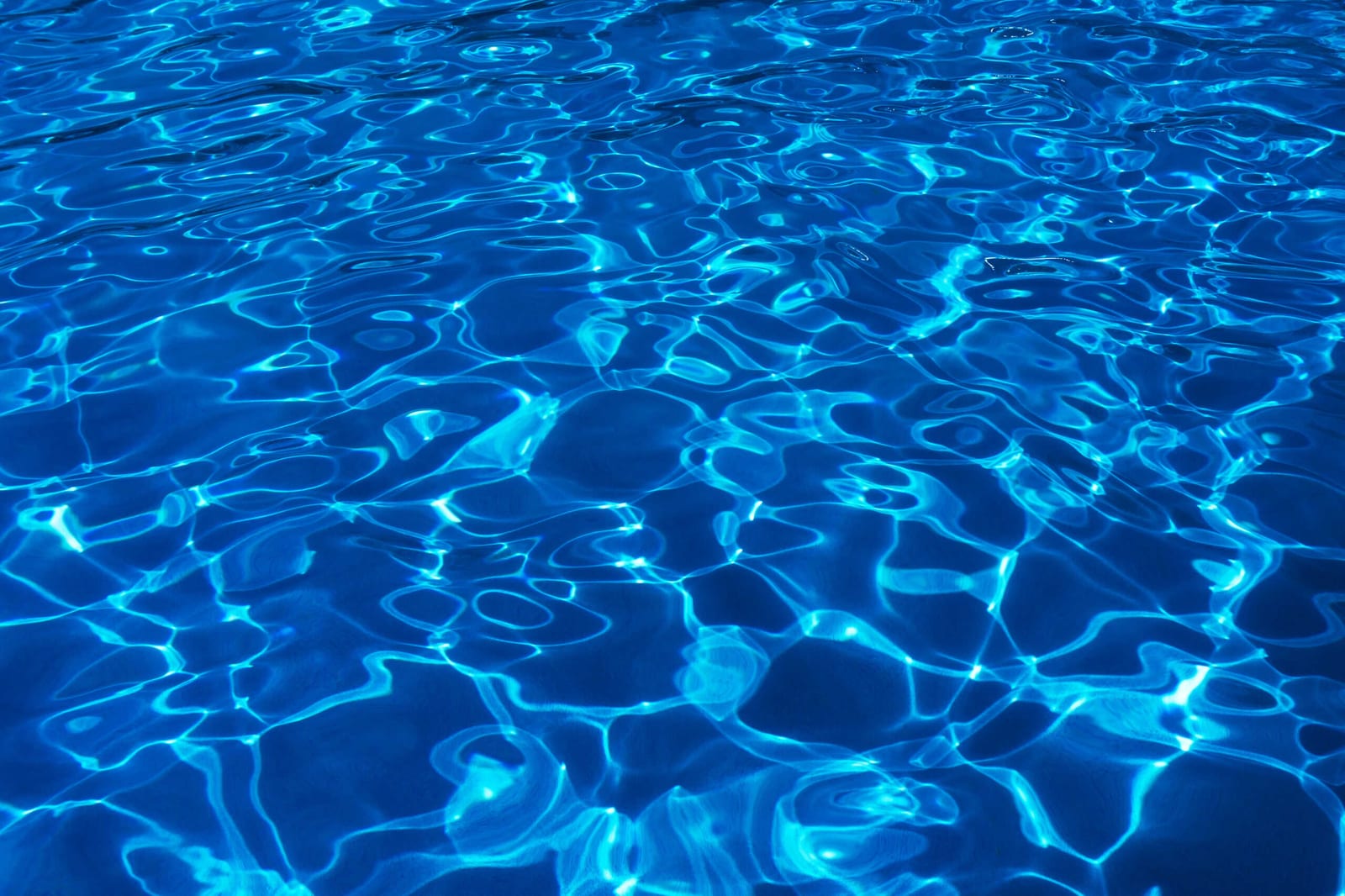 Holiday Service Adjustments in North Miami, Florida — pool service business insights
