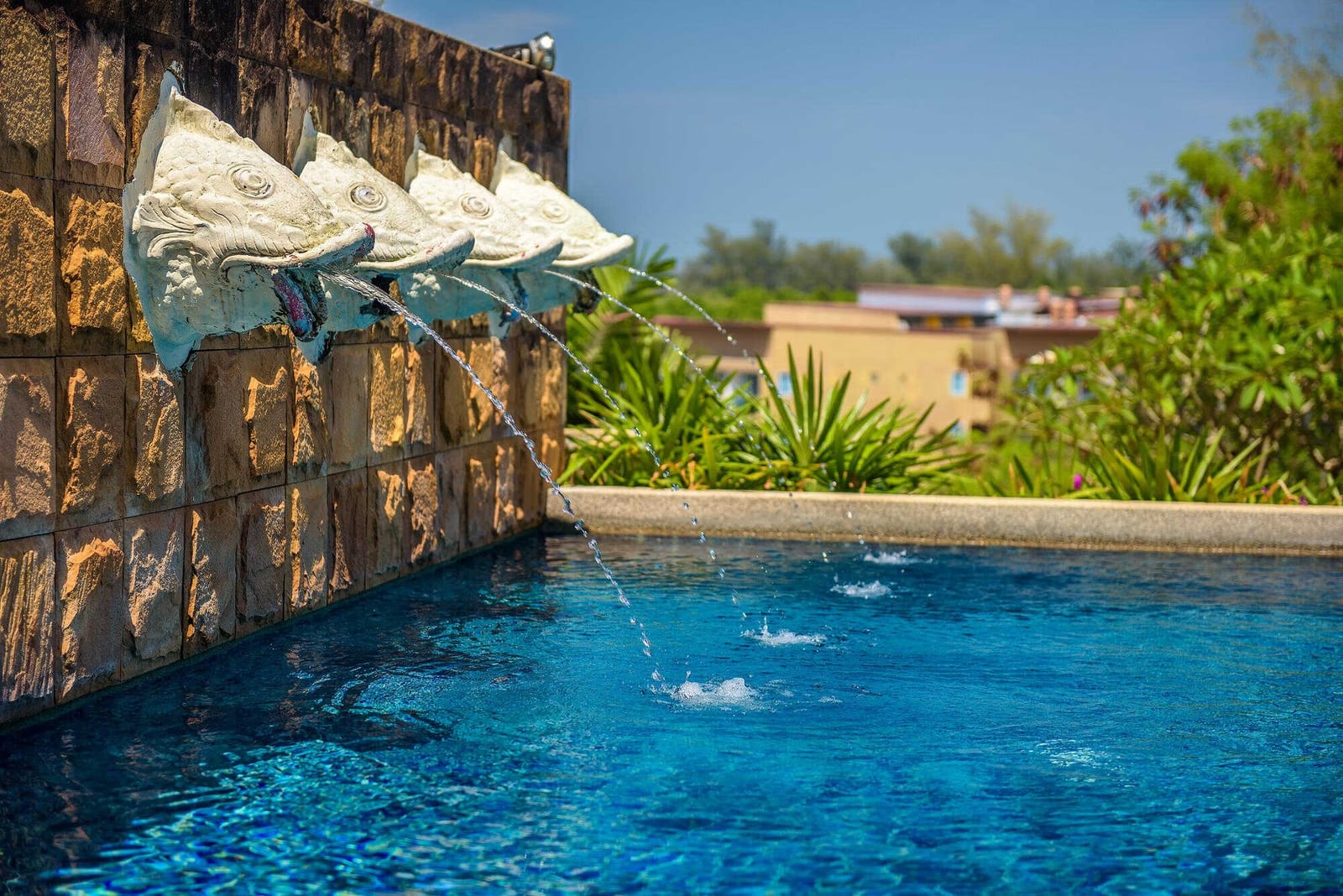 How Rapid Growth in Fort Worth Impacts Pool Service Opportunities — pool service business insights