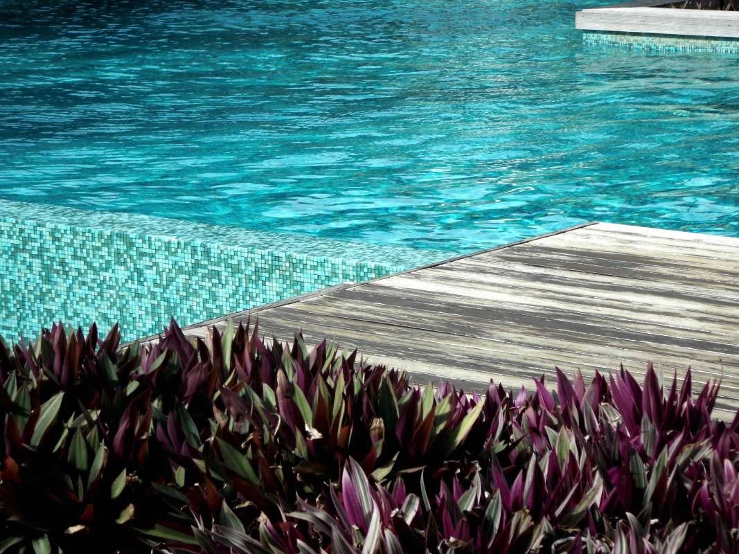 How to Identify Electrical Issues in Pool Equipment Safely — pool service business insights