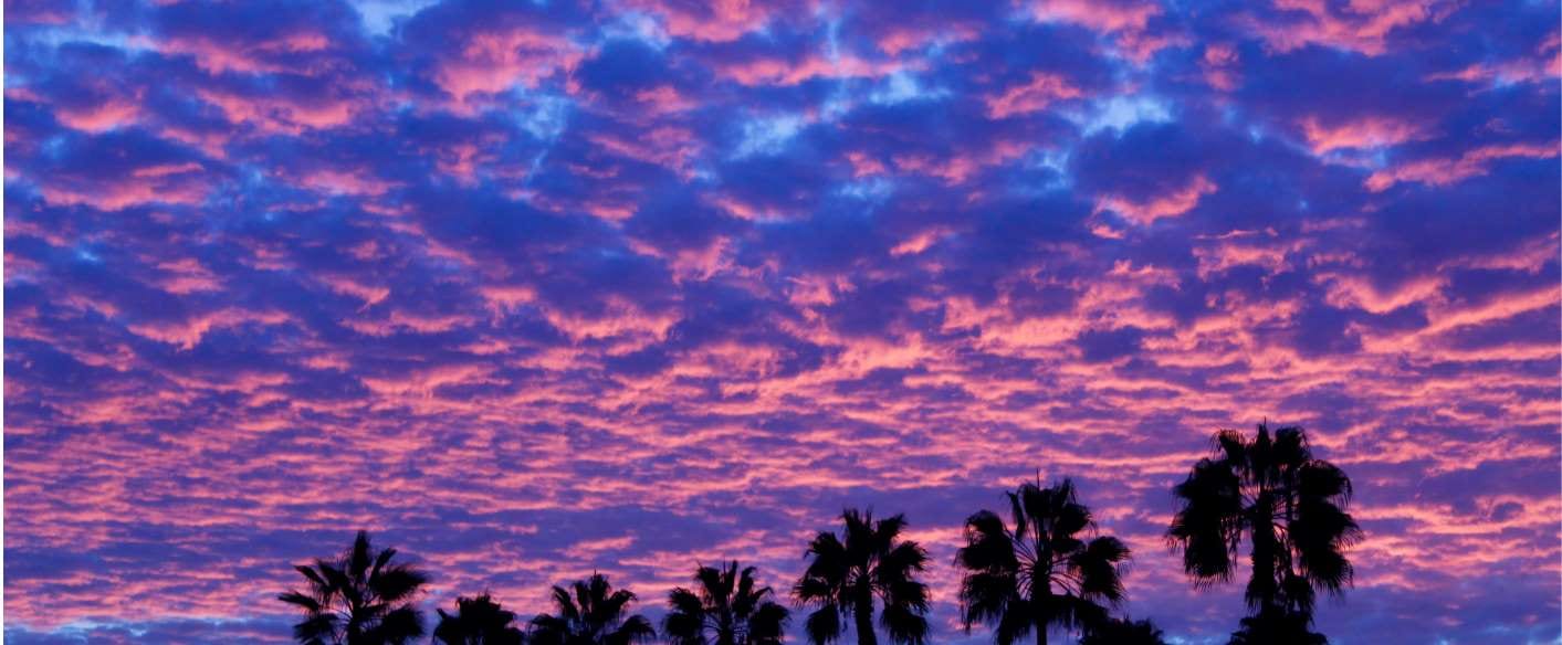 How to Run a Flash Sale in Tempe, Arizona — pool service business insights