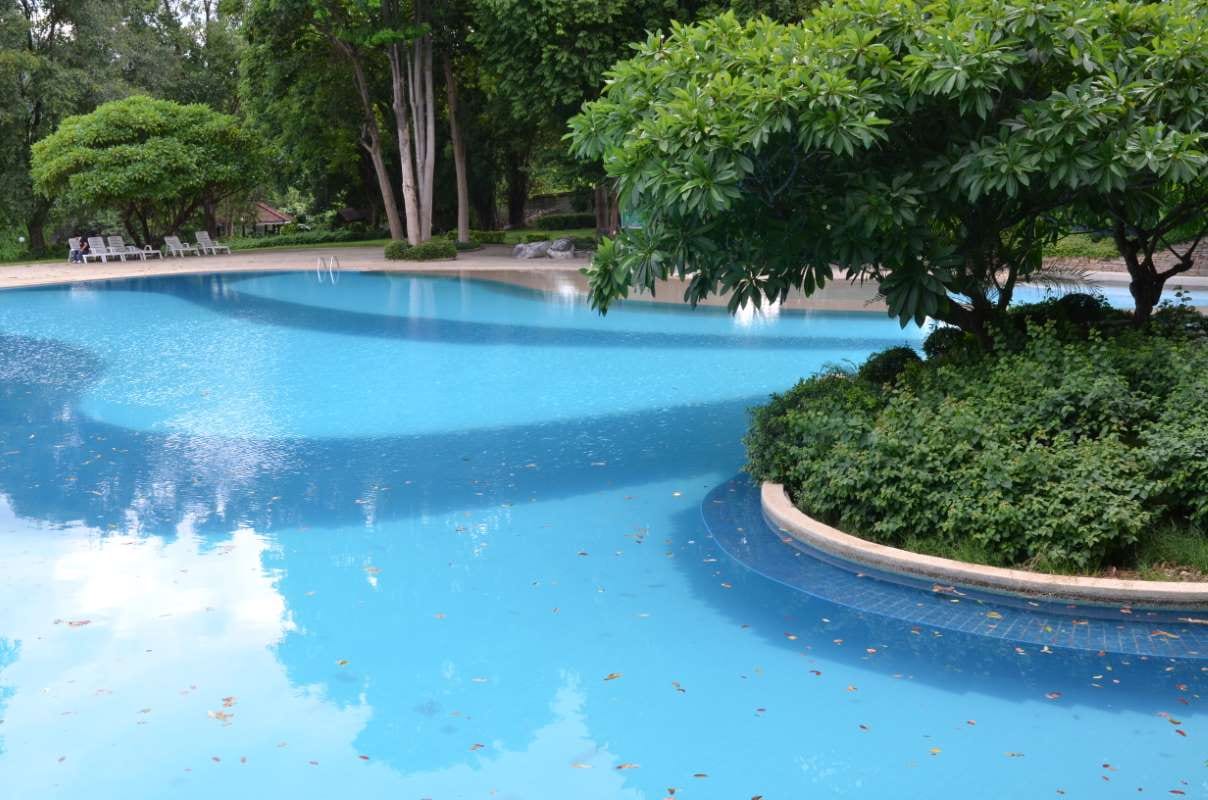 Pool Business Expansion in San Diego: How Technology Is Changing the Industry — pool service business insights