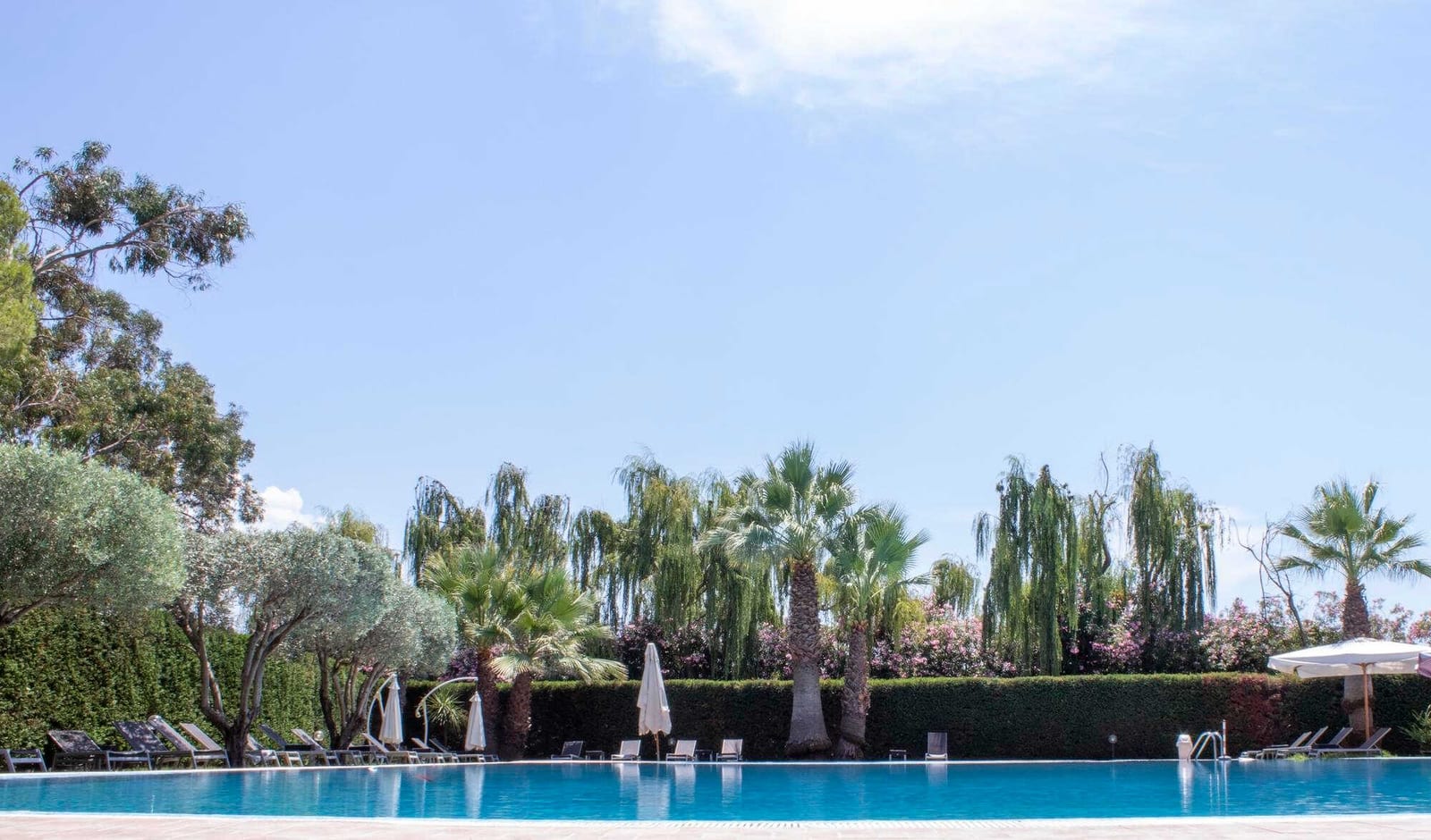 Pool Entrepreneurs Are Targeting Santa Cruz County, California — pool service business insights