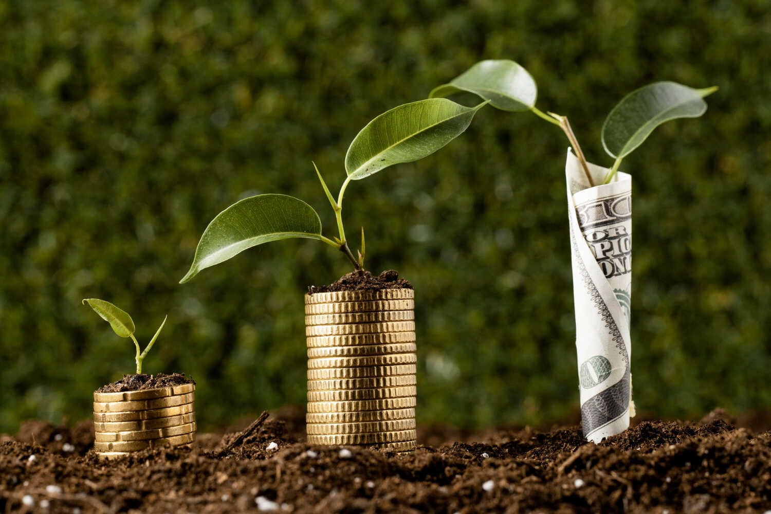 Route Profit Optimization in Arizona: Why Smart Systems Increase Profit — pool service business insights