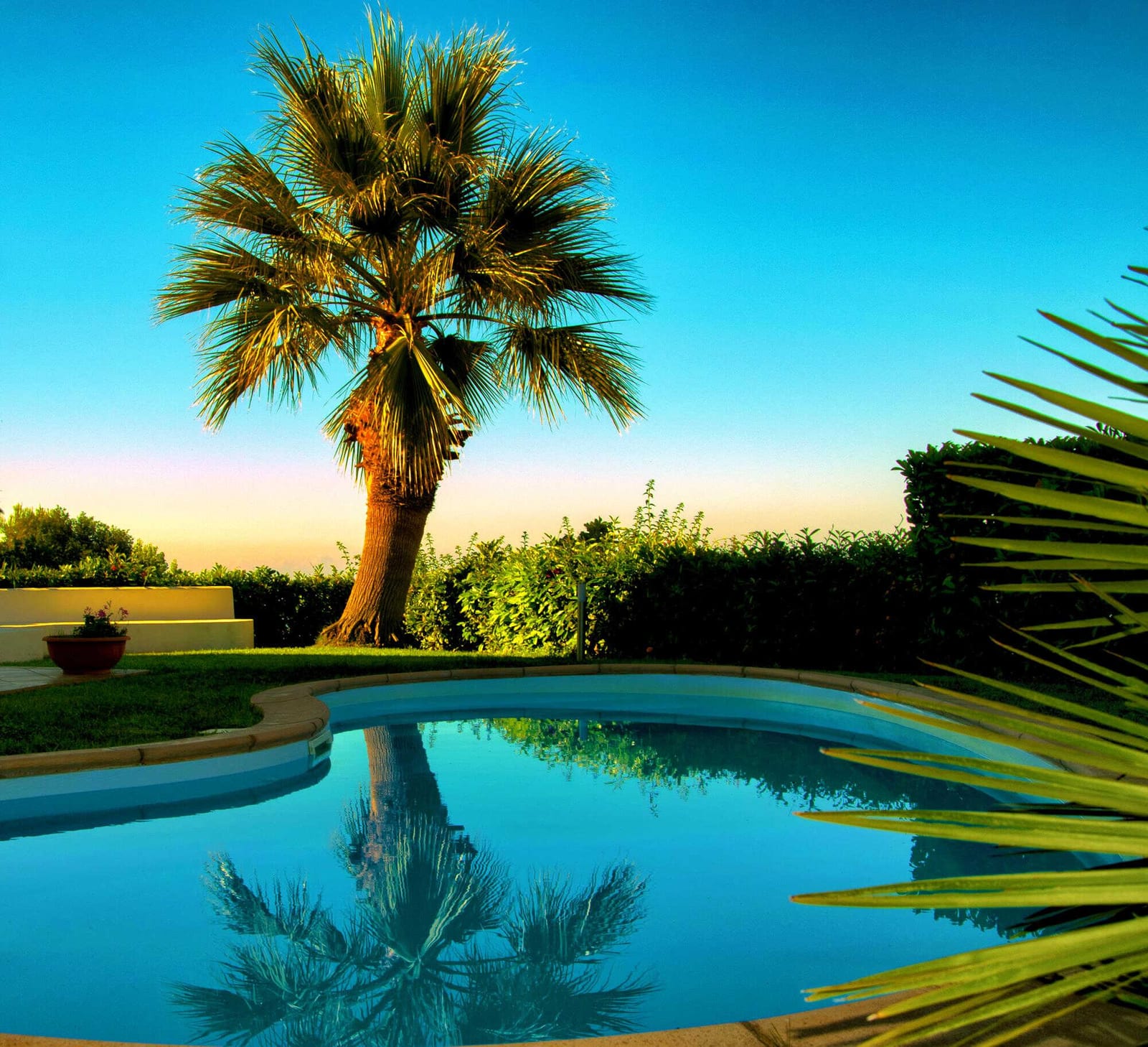 The Future and Vision of Pool Service Industry — pool service business insights