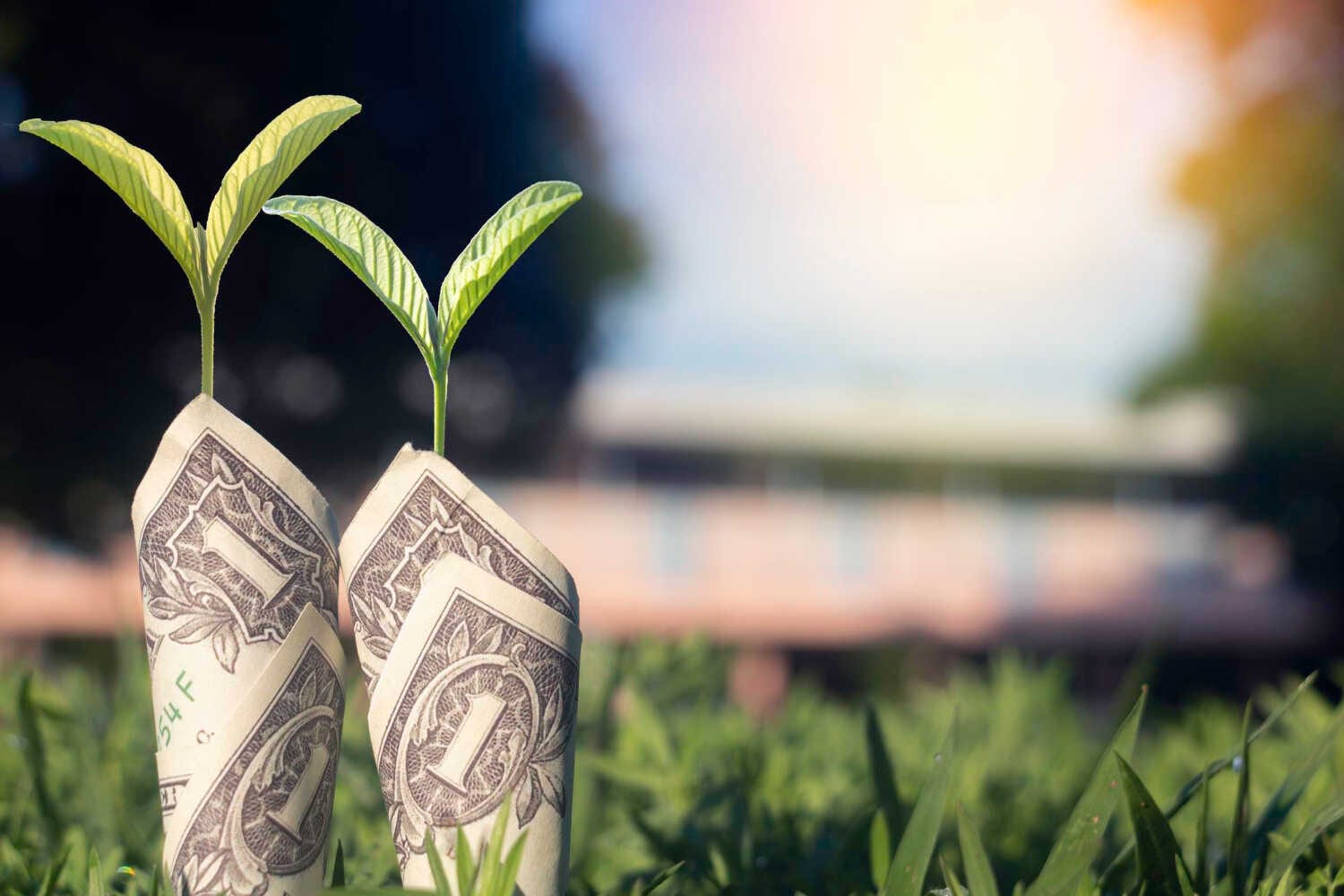 Why Digital Billing Increases Customer Satisfaction — pool service business insights