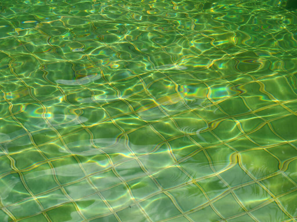 Pool Routes for Sale – How Algae Affects Pool Health and How to Combat It