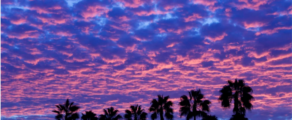 How to Identify Surface Problems Caused by Poor Circulation