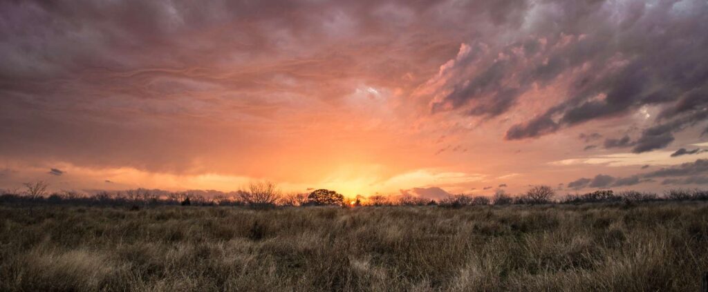 background_Texas_0x800